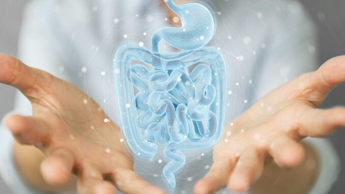 Rejuvenecer con salud, el secreto milenario escondido en la microbiota